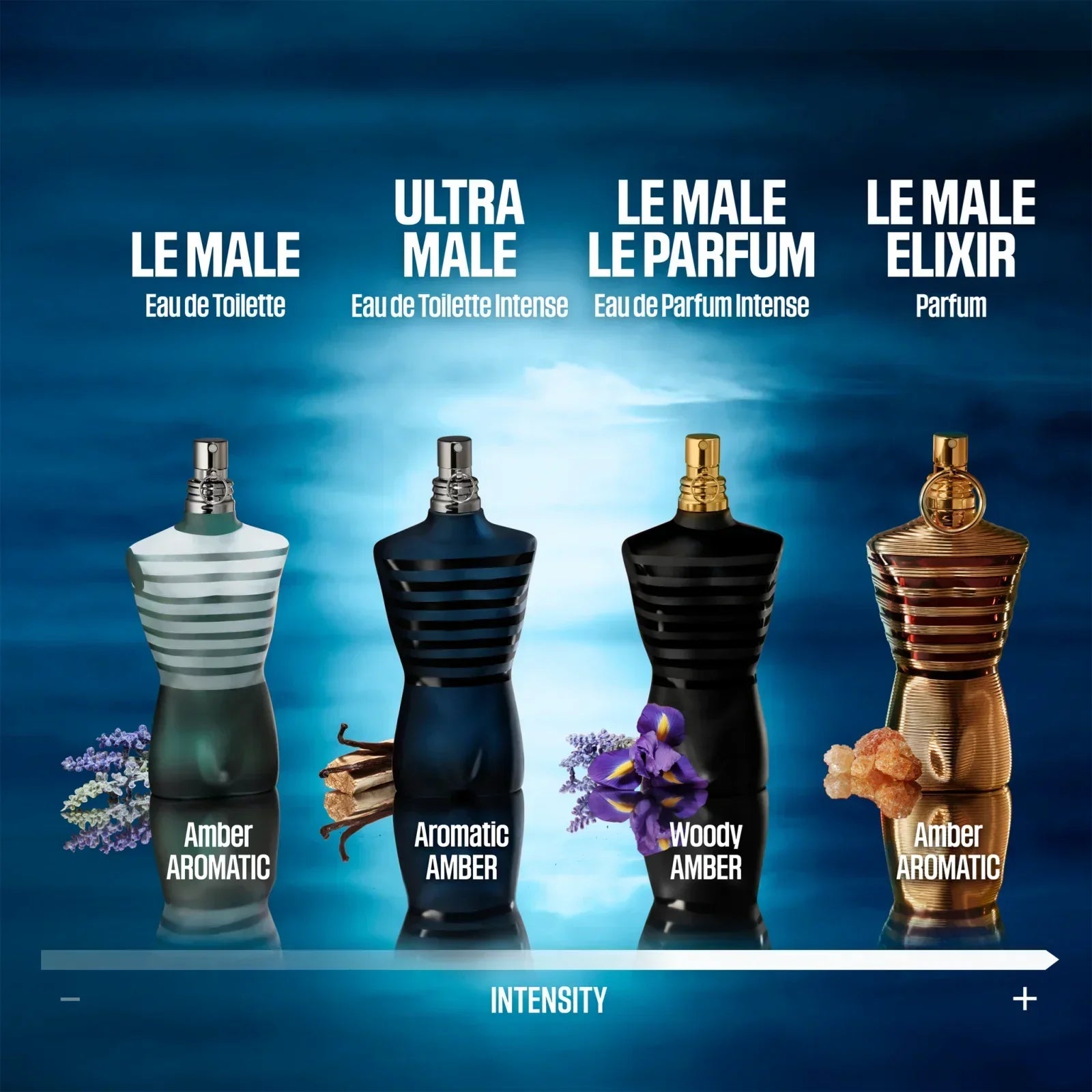 Le Male - EDT - 100ml